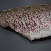 特殊冷凍 玄界灘産 三年養殖「天超」真鯛(フィレ)