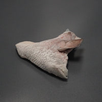 特殊冷凍 玄界灘産 三年養殖「天超」真鯛(かま)