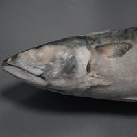 特殊冷凍 豊洲市場厳選国産真鯖(マル)