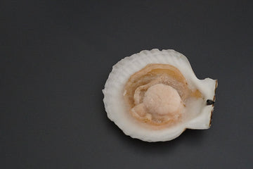特殊冷凍 オホーツク海常呂産ホタテ片貝(小)